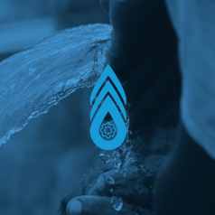 foenix logo
